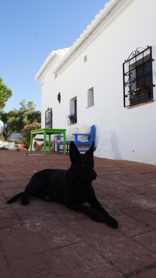 Appartement Casa Del Cielo à Frigiliana Extérieur photo